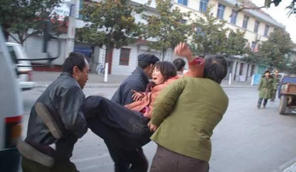 生活方式大丽花_生活方式大丽花_生活方式大丽花