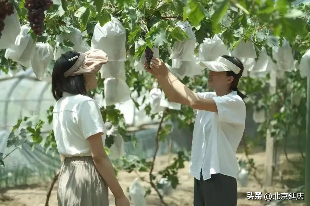 中秋生活小趣事_趣事中秋生活小报怎么画_中秋趣事作文小学生