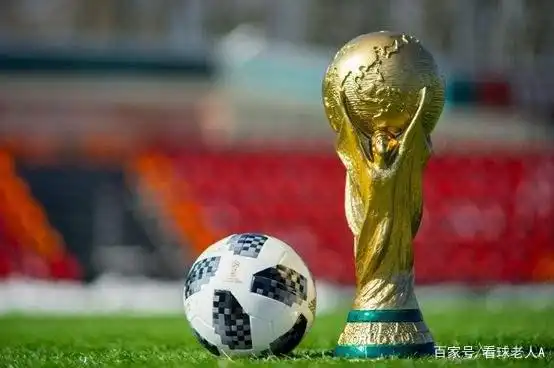 足球世界杯冠军榜排名_2022年世界杯足球冠军_足球杯世界杯冠军