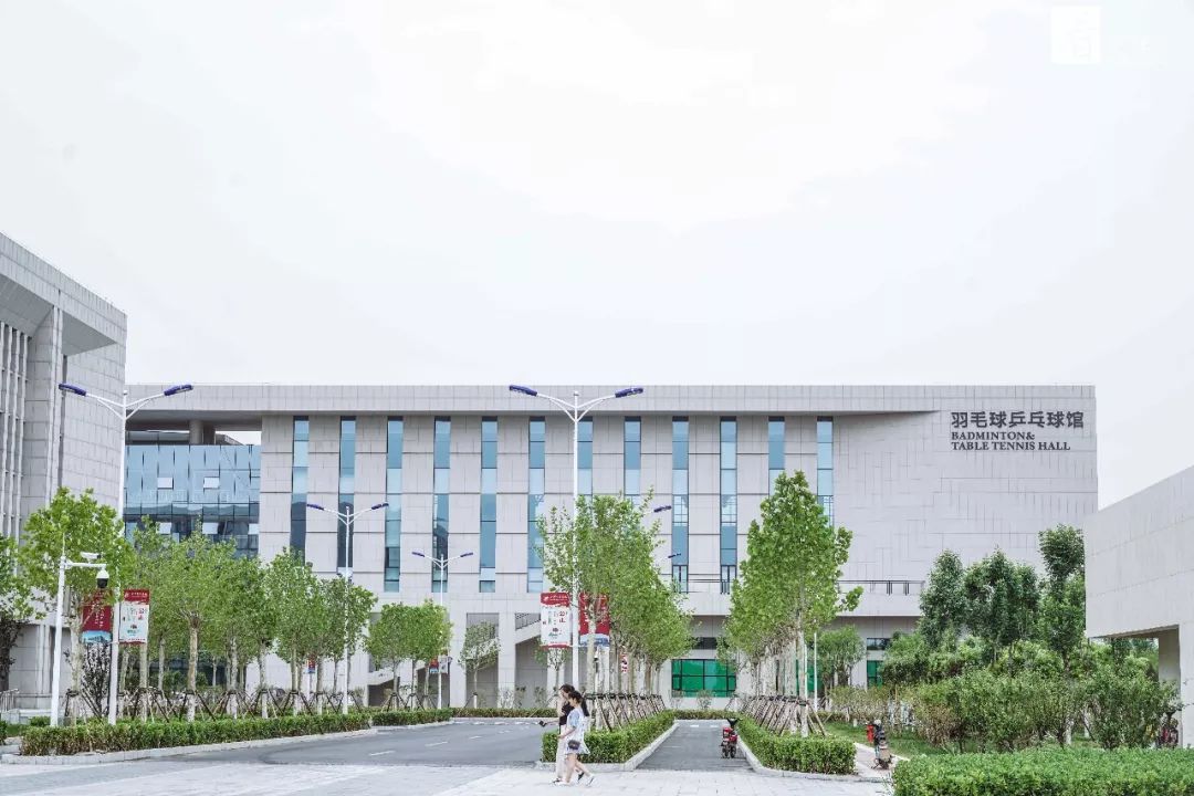 成人女子游泳比赛冠军视频_成人游泳教学视频初学者_视频成人游泳女子冠军比赛直播