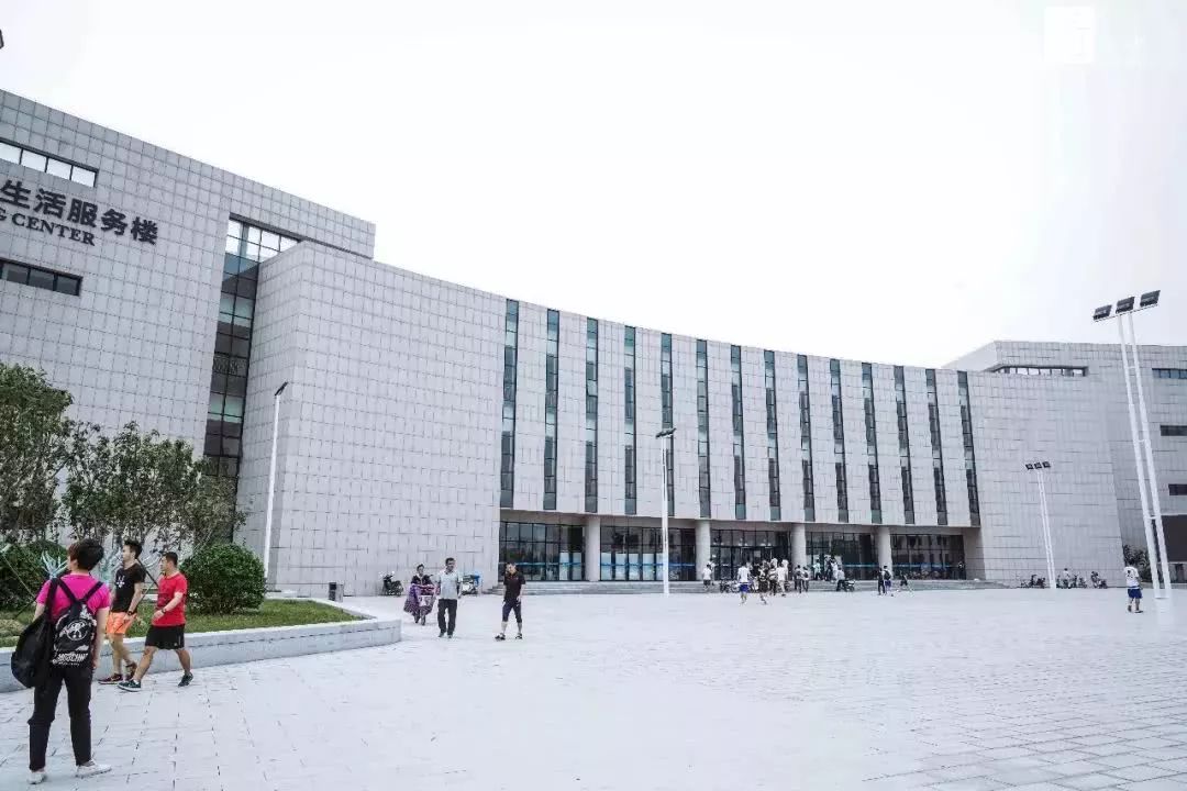 成人女子游泳比赛冠军视频_视频成人游泳女子冠军比赛直播_成人游泳教学视频初学者