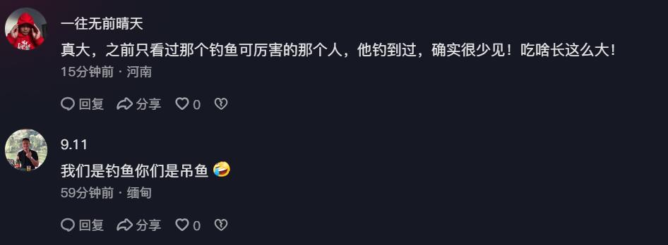 如何游泳中抓鱼的技巧视频_游泳抓水_游泳是怎么抓鱼的